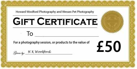 sample gift certificate for £50