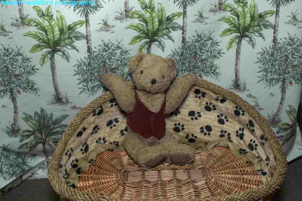 Teddy bear in basket against backdrop