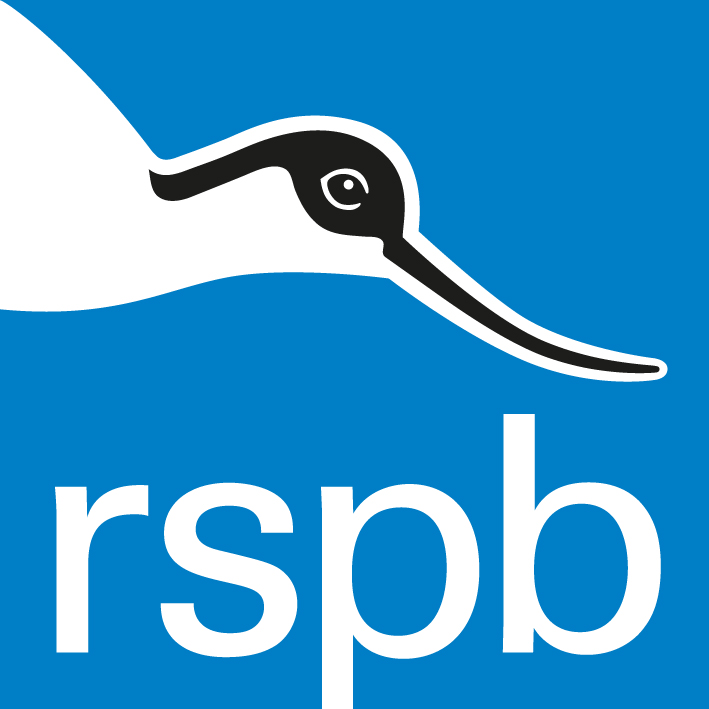 RSPB logo Avocet